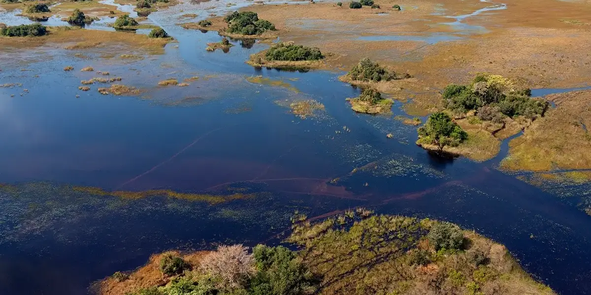 okavango-delta-botswana-2026-01-09-06-52-49-utc
